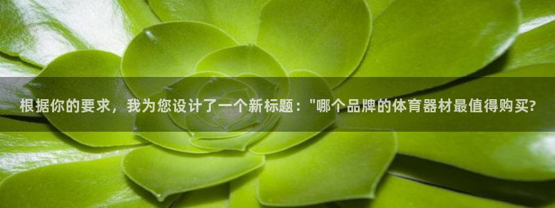 根据你的要求，我为您设计了一个新标题：\