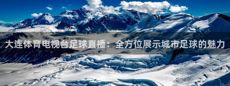大连体育电视台足球直播：全方位展示城市足球的魅力